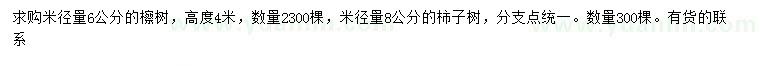 求購(gòu)米徑6公分檫樹(shù)、米徑8公分柿子樹(shù)