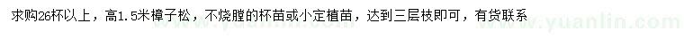 求購高1.5米樟子松