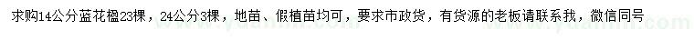 求購14、24公分藍(lán)花楹