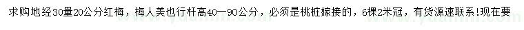 求購30量20公分紅梅、梅人美