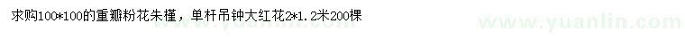 求購100公分重瓣粉花朱槿、2米吊鐘大紅花