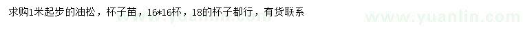 求購(gòu)1米以上油松