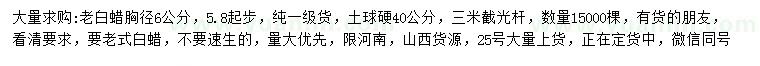 求購胸徑5.8公分以上老白蠟