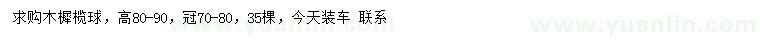 求購冠幅70-80公分木樨欖球