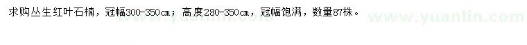 求購冠幅300-350公分叢生紅葉石楠