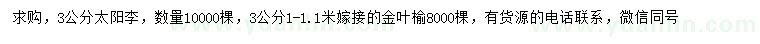 求購(gòu)3公分太陽李、金葉榆