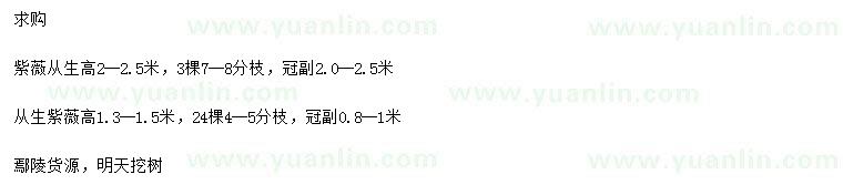 求購高1.3-1.5、2-2.5米叢生紫薇