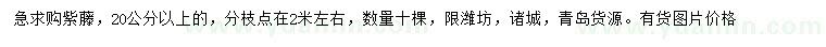 求購(gòu)20公分以上紫藤