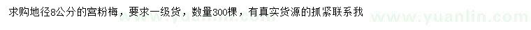 求購地徑8公分宮粉梅