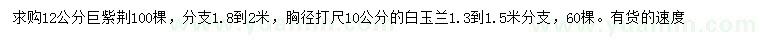 求購12公分巨紫荊、胸徑10公分白玉蘭