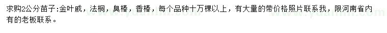 求購金葉槭、法桐、臭椿等