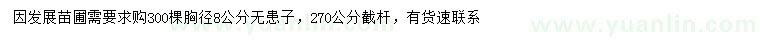 求購(gòu)胸徑8公分無(wú)患子