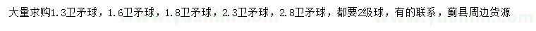 求購1.3、1.6、1.8、2.3、2.8米衛(wèi)矛球