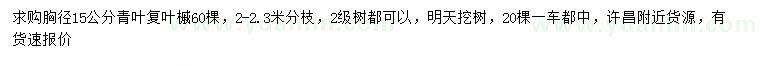 求購胸徑15公分青葉復(fù)葉槭