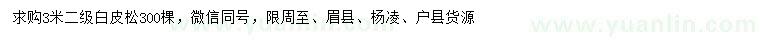 求購3米白皮松