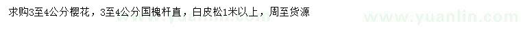 求購(gòu)櫻花、國(guó)槐、白皮松