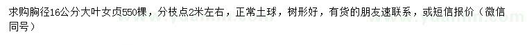 求購胸徑16公分大葉女貞