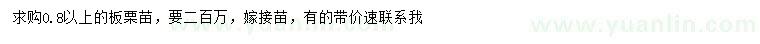 求購(gòu)0.8公分以上板栗苗
