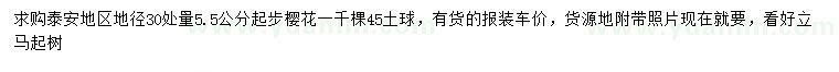 求購30量5.5公分以上櫻花