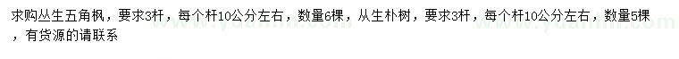 求購3桿叢生五角楓、從生樸樹