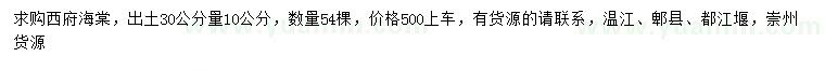 求購30量10公分西府海棠