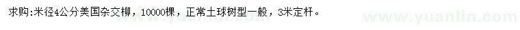 求購米徑4公分美國雜交柳