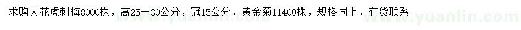 求購高25-30公分大花虎刺梅、黃金菊