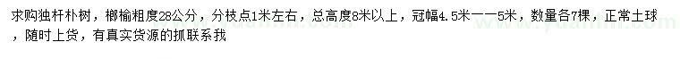 求購28公分樸樹、榔榆