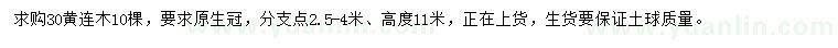 求購(gòu)30公分黃連木