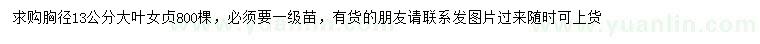 求購胸徑13公分大葉女貞