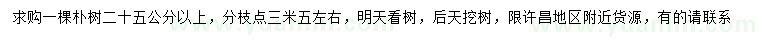 求購(gòu)25公分以上樸樹