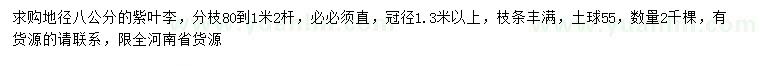 求購地徑8公分紫葉李