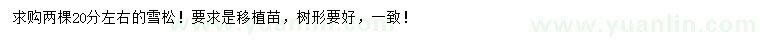 求購20公分左右雪松