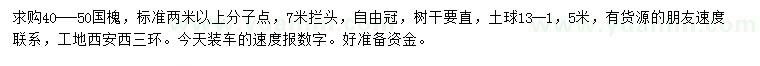 求購40-50公分國槐