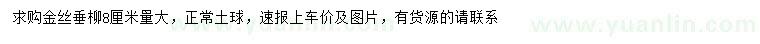 求購8公分金絲垂柳