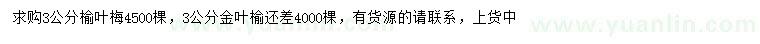 求購(gòu)3公分榆葉梅、金葉榆