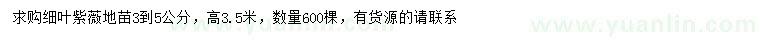 求購3-5公分細葉紫薇