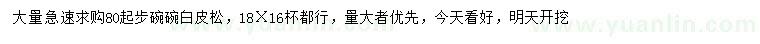 求購80公分以上白皮松
