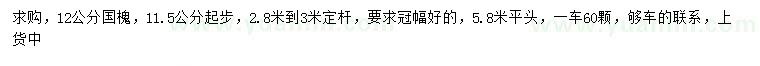 求購(gòu)11.5公分以上國(guó)槐