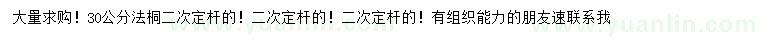 求購30公分法桐