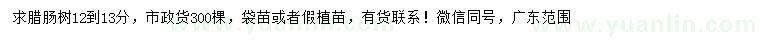 求購12-13公分臘腸樹