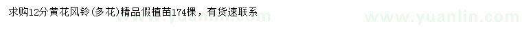 求購12公分黃花風鈴木
