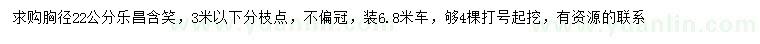 求購胸徑22公分樂昌含笑
