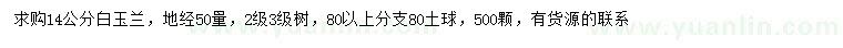 求購50量14公分白玉蘭