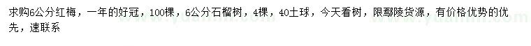 求購6公分紅梅、石榴樹