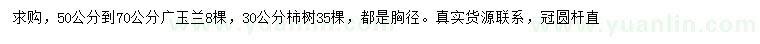求購(gòu)胸徑50-70公分廣玉蘭、胸徑30公分柿樹