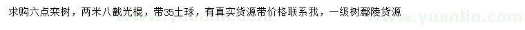 求購6公分欒樹