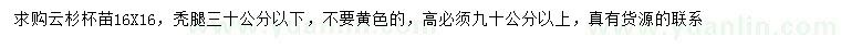 求購高90公分以上云杉