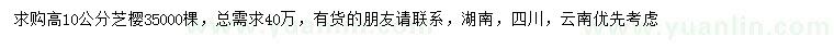 求購高10公分芝櫻