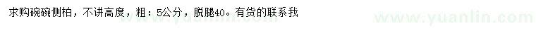 求購5公分側(cè)柏